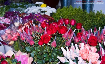 _DSC0299