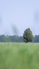 186175