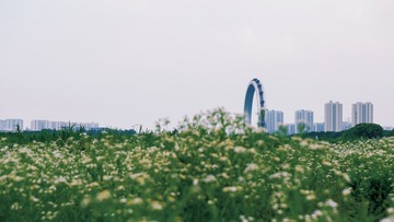 66F4B2F8-A240-4D26-9A9A-F3BCB021113D/L0/001
