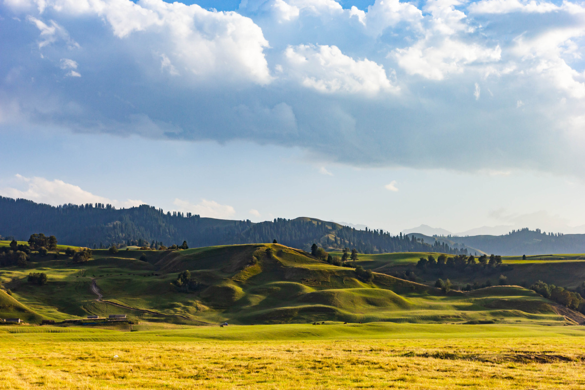 新疆美景那拉提空中草原006