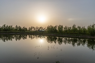 雾霾下的屯河公园