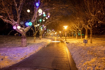 小县冰雪灯光秀007