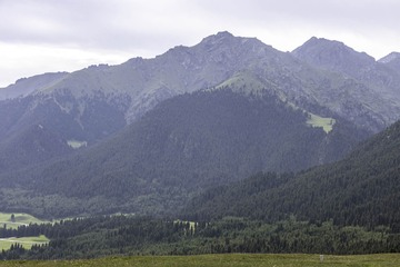 远山02