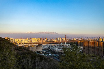 金色家园