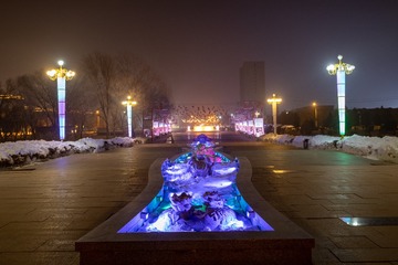 呼图壁如意公园夜晚盛开的蓝色妖姬