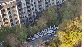 疫情秋韵