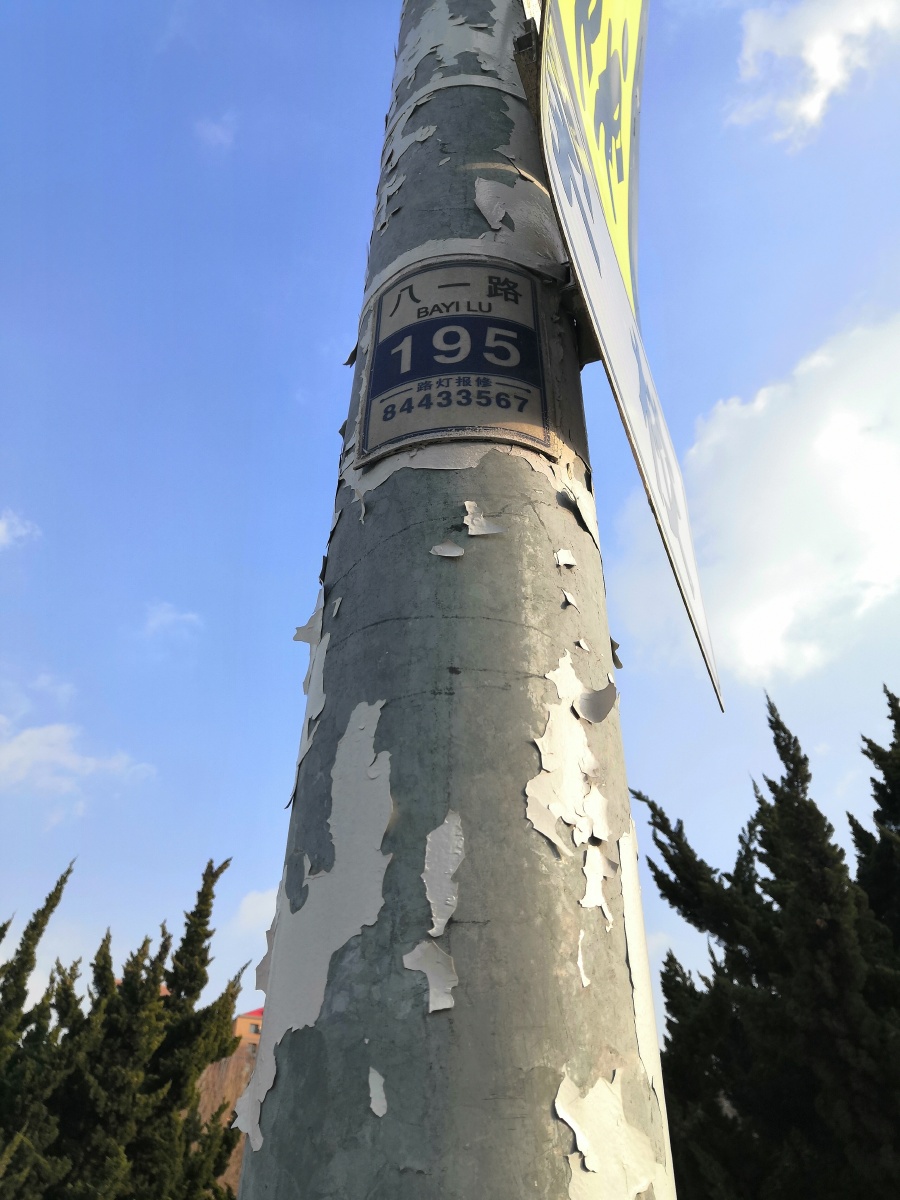 大连滨海路一起撞路灯杆的车祸后被交警要求拍路灯杆拿照片去路灯管理