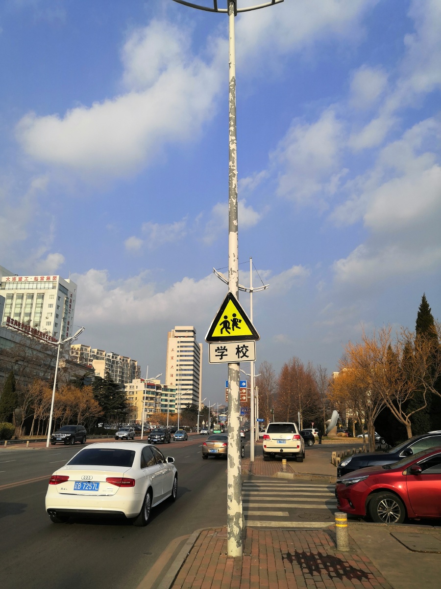 大连滨海路一起撞路灯杆的车祸后被交警要求拍路灯杆拿照片去路灯管理