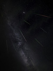 536FF995-0137-4B5C-AED4-9A0642DCAD75/L0/001