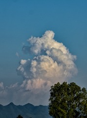 35841