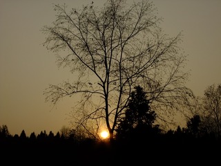 754366