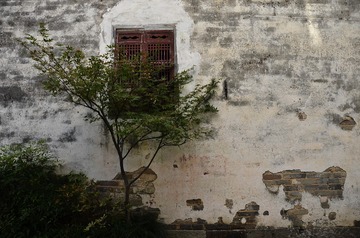 _DSC5534-2