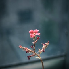 1405304