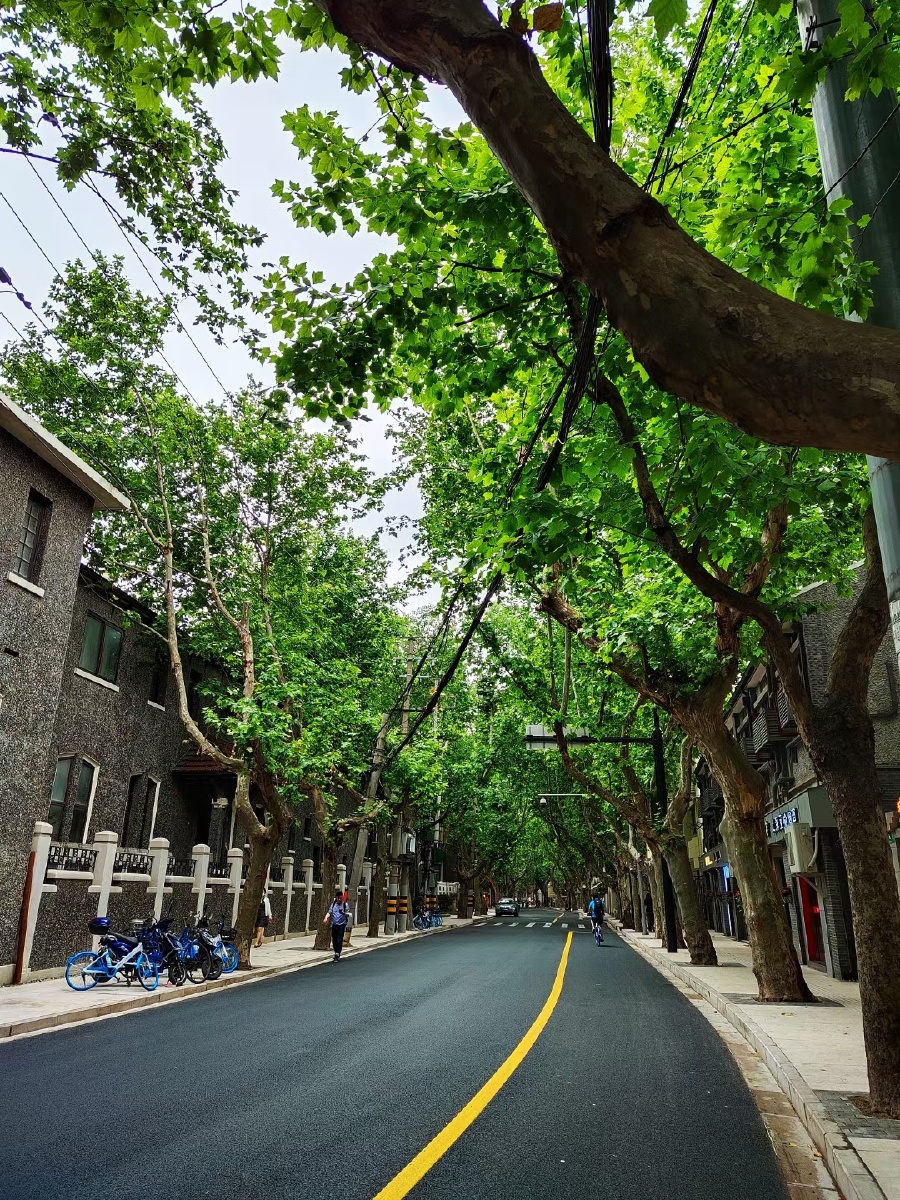 上海历史文化保护区之雁荡路