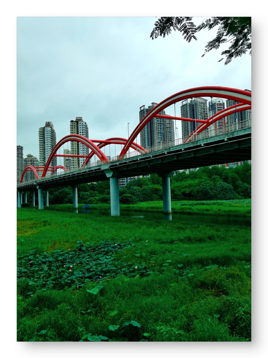 彩虹桥拍摄于洪湖公园