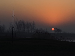 5D95B85C-1D4D-4C20-A215-E7195035036A/L0/001