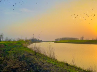 69CE9E3F-1610-4BE7-B992-474F937191A7/L0/001