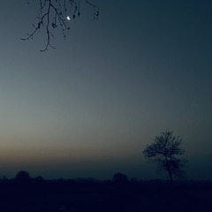 12E7E2E0-476C-4C2D-894C-4CC7C37A3ECB/L0/001