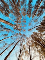 F961C8E1-78AB-4283-8F3D-BB7E58728CD3/L0/001
