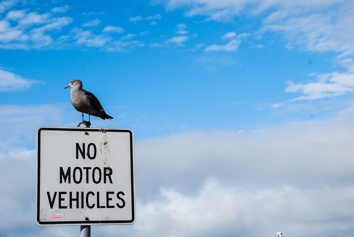 nomotorvehicles机动车禁止