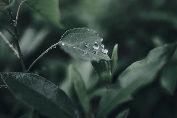 F8E233F9-6046-4CB1-BF3D-C74D128F500C/L0/001
