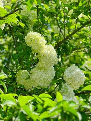 9A3AEE05-F987-474B-9DF1-DF4EFE98E175/L0/001