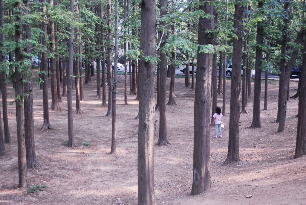 森林里有什么，<br />
孩子懵懂地问道，<br />
有一个声音说，森林里有宝藏。<br />
从此，像一个童话种在了孩子心底。<br />
而今我又看到了另一个孩子。<br />
心里想，真好。