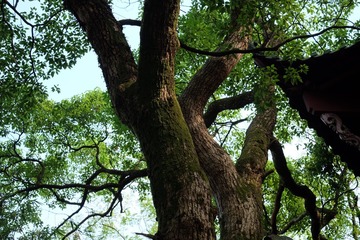 2016_0901_09353000