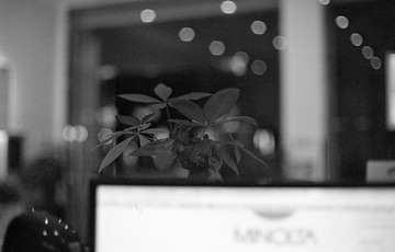 IMG-5000-211035-135