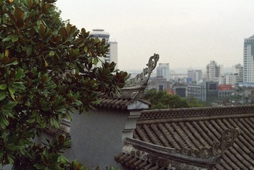 IMG-5000-211019-135