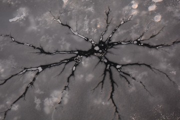 2355025