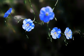5105020
