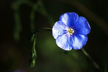 5105014