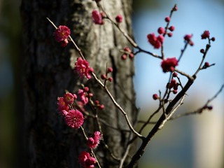 8F4FD2EA-A6D6-45A5-B70C-9AE53BDC2A70/L0/001