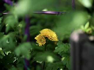 CF7B71F7-821A-46C3-99F5-53C45AAD1ED9/L0/001