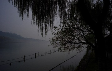81144D70-112E-4F36-8951-103CA8C5C15C/L0/001