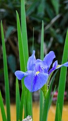 DSC03646-1