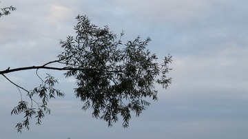 3654841