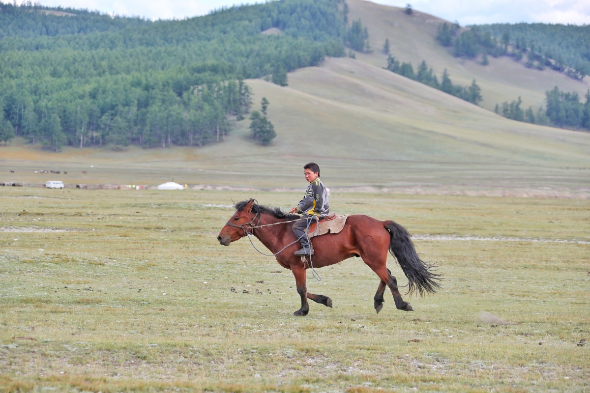 小骑手摄于蒙古国