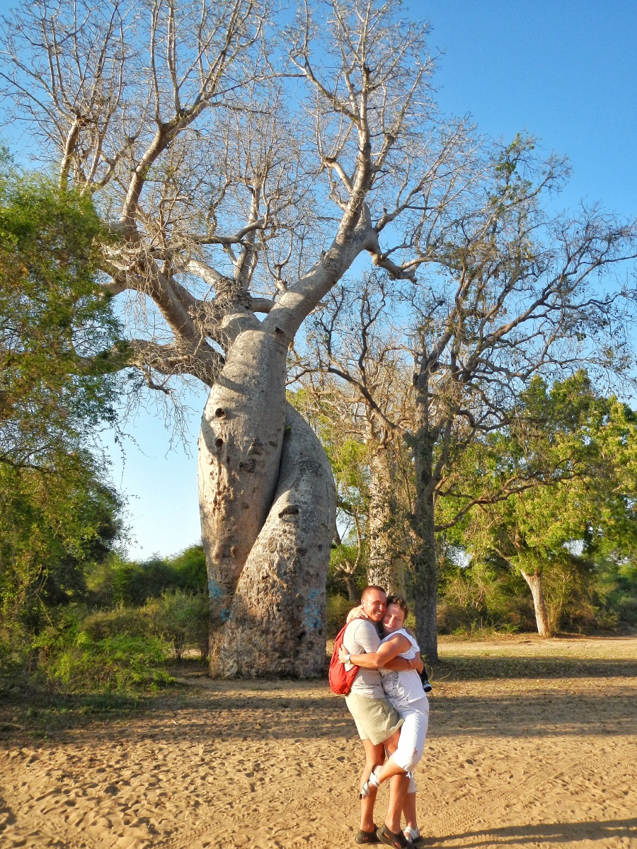 连理树摄于马达加斯加