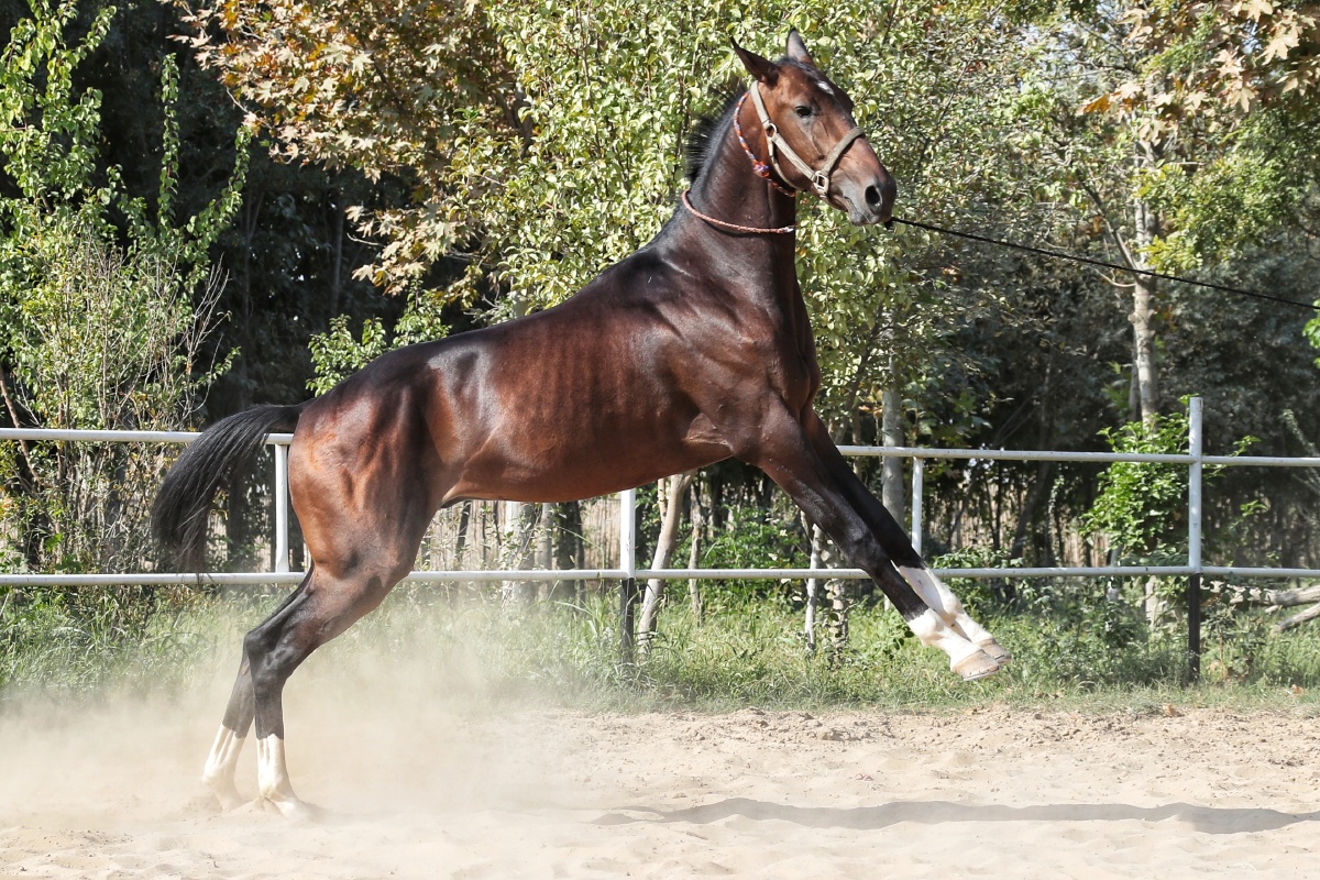 摄于土库曼斯坦