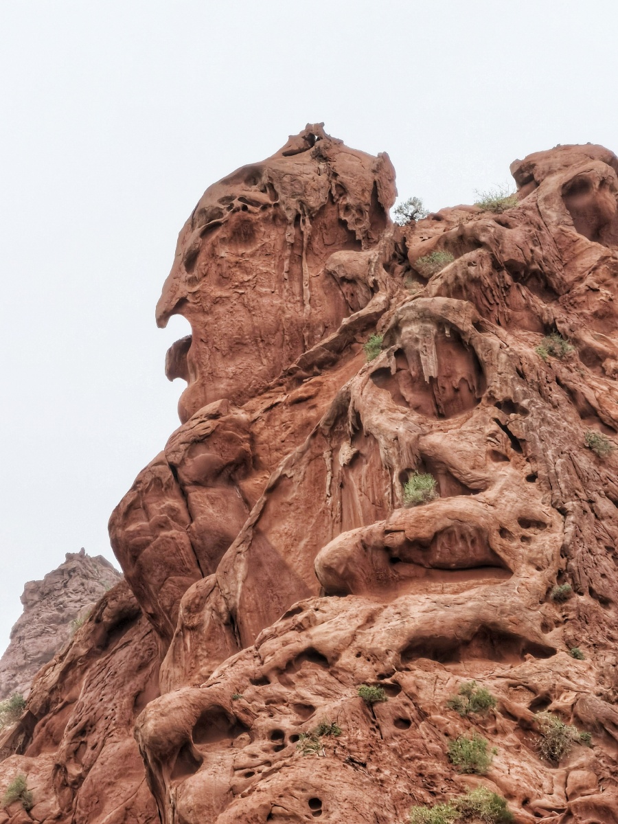 奇特的雅丹地貌.(阿克陶县野狼谷) - 用户晓林视界 - 图虫