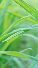6E5F7001-FABA-49AF-B4A8-30D3002CBD2A/L0/001