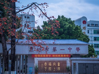 2385011