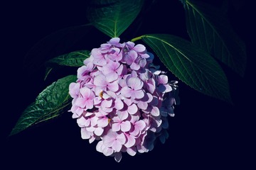1DCCFDD2-4B4B-482C-8441-611917740469/L0/001