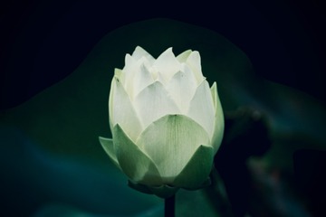 48BD189A-F704-4D9E-84D0-74E7C364BA40/L0/001
