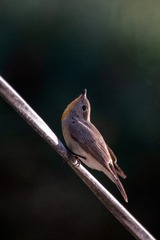 _DSC0808