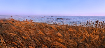 东沙河草船