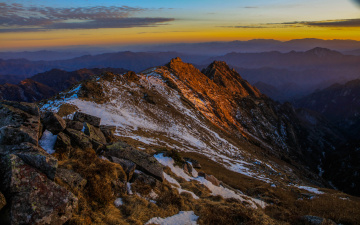 秦岭的那抹金色