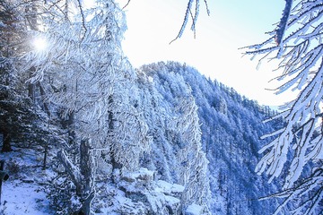 秦岭顶棚梁大崖壁